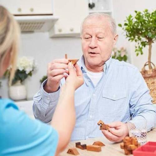 Arian Home Care Service